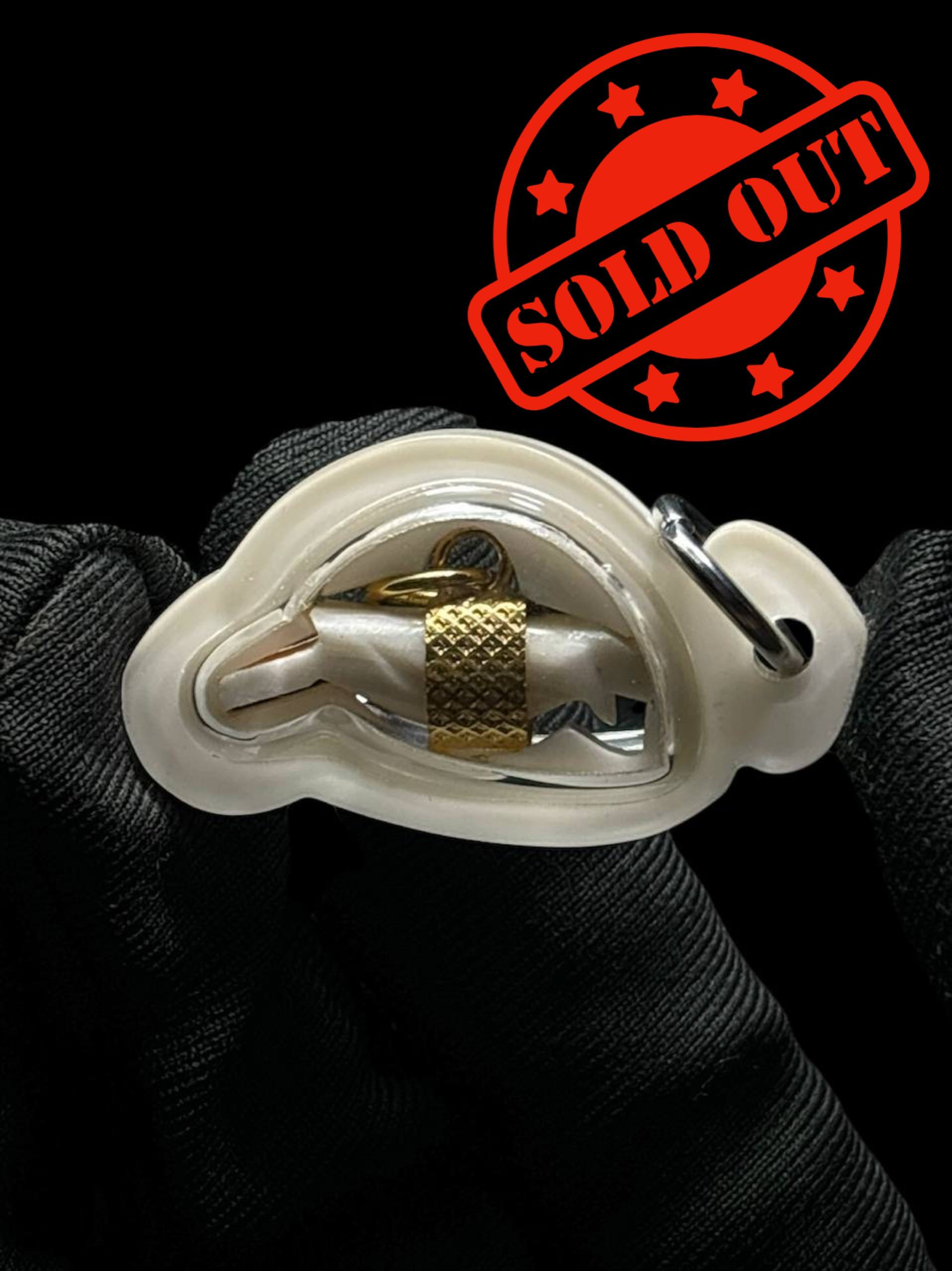 Jin Thai Fo Pai - 阿赞拜萨利卡人缘鸟（现物实拍）