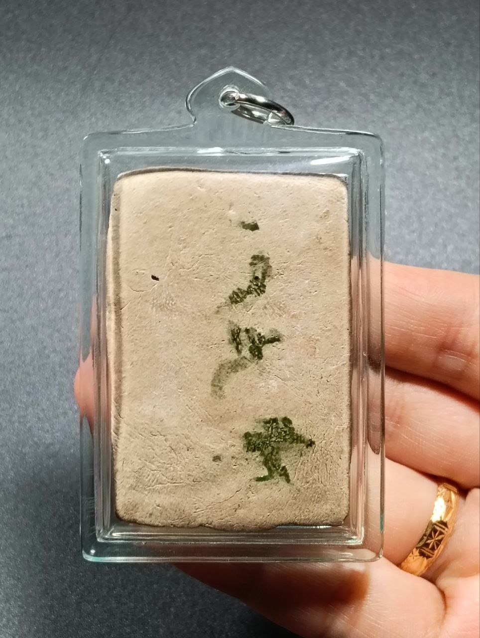 KRUBA KRISSANA萨利卡人缘鸟
 | SAN Pin Selection