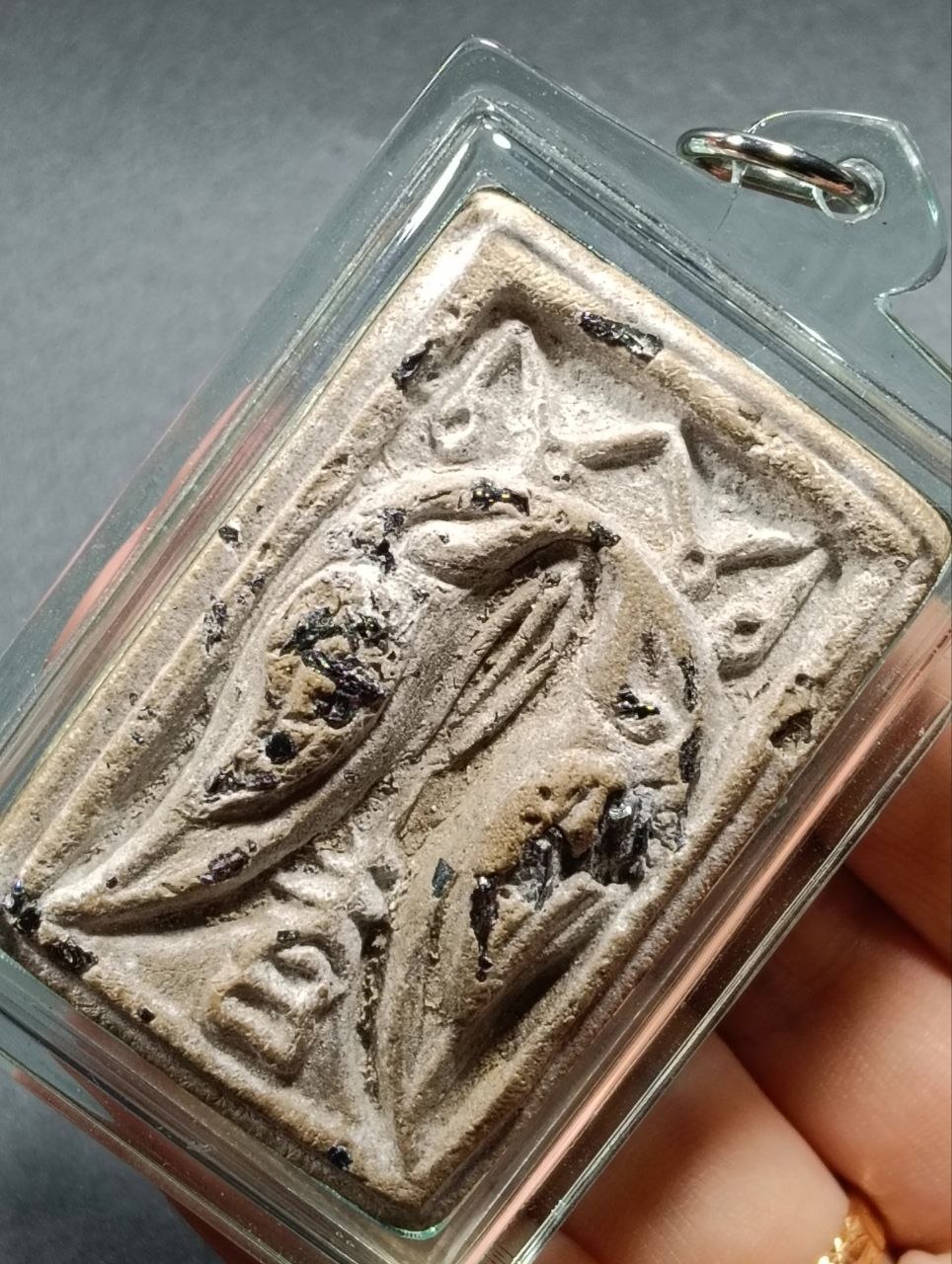 KRUBA KRISSANA萨利卡人缘鸟
 | SAN Pin Selection