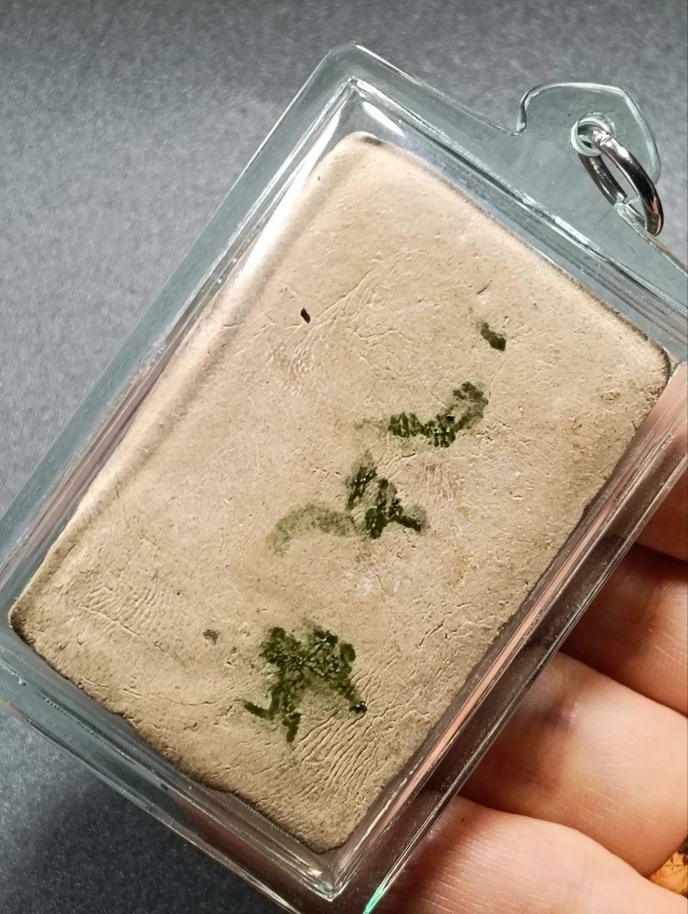 KRUBA KRISSANA萨利卡人缘鸟
 | SAN Pin Selection