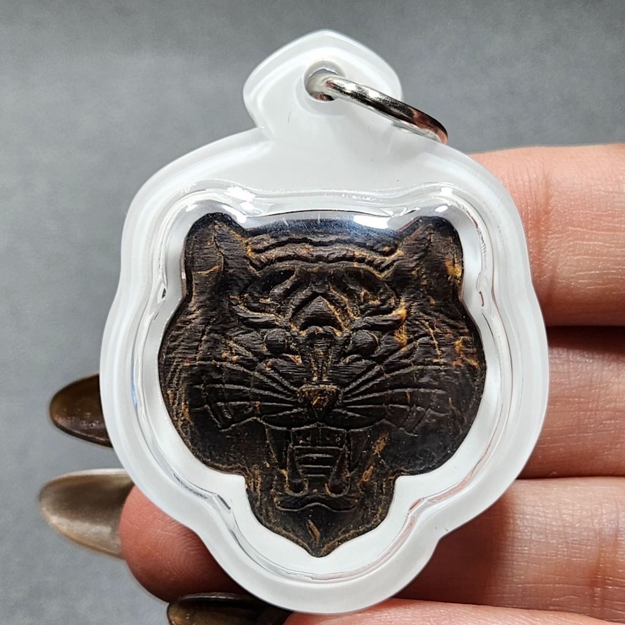 Archan Larry 单眼椰壳老虎头｜BE2566｜One Eye Coconut Shell Tiger Head｜限量21尊 | Jin Thai Fo Pai